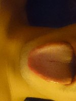FaceSitMe