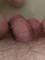 gaypenis