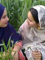 rehan25805