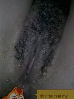 ayugajel
