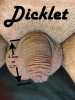 petelilpeen