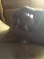 Nexxxtar6969 