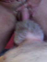 bihubby