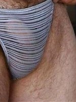 alfpic